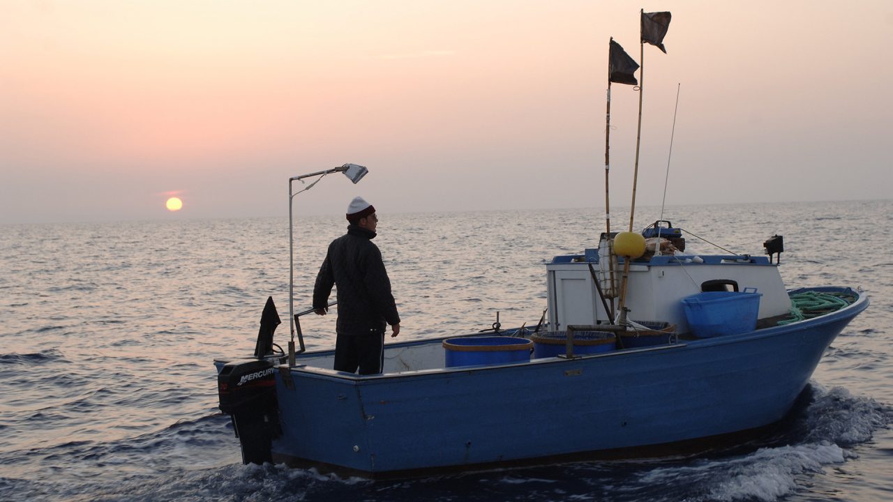 Il mio paese Vivo film