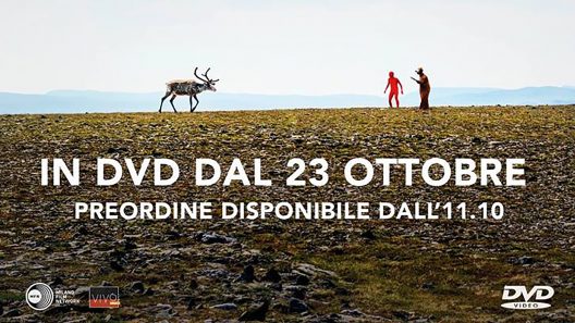 Image for: I RACCONTI DELL’ORSO È USCITO IN DVD